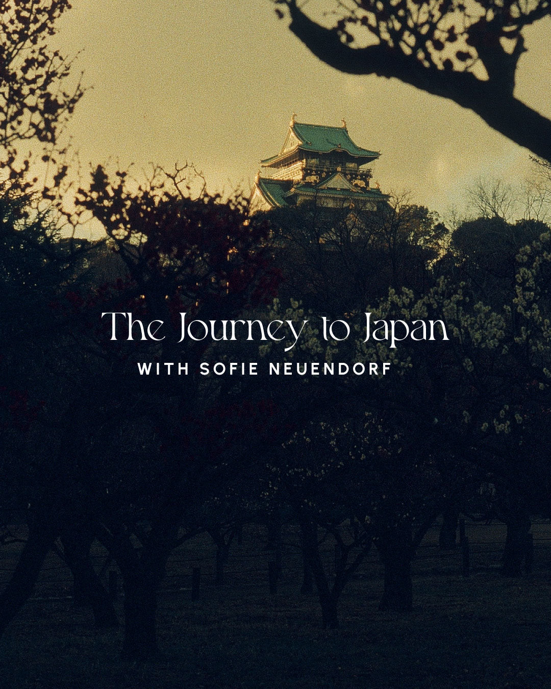 The Journey to Japan: with Sofie Neuendorf